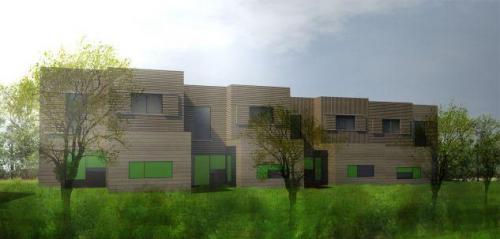 le jardin des véroniques